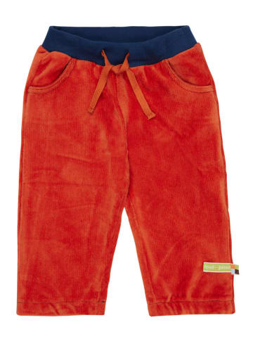 loud + proud Sweathose in Orange