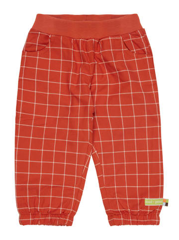 loud + proud Sweathose in Orange