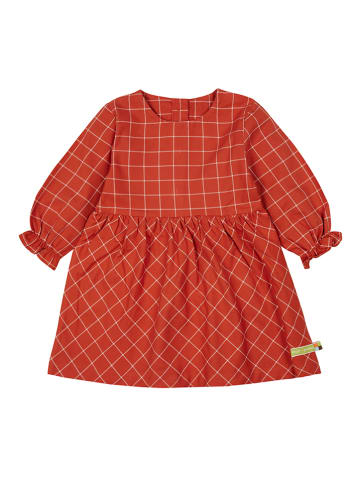 loud + proud Kleid in Orange