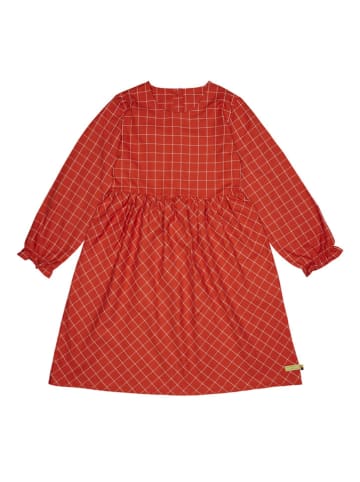 loud + proud Kleid in Orange