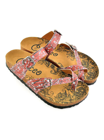 Calceo Teenslippers rood/meerkleurig