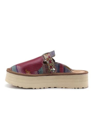 Calceo Clogs meerkleurig