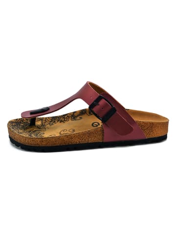Calceo Teenslippers bordeaux