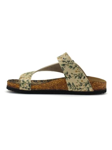Calceo Teenslippers geel/groen