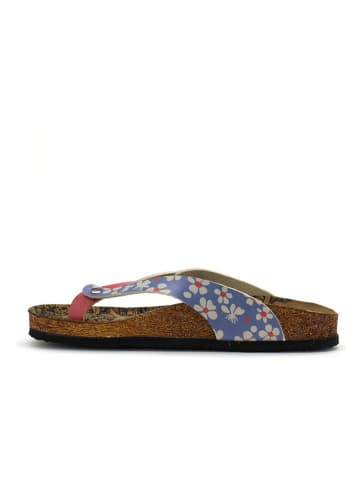 Calceo Teenslippers blauw/rood