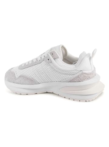 Tommy Hilfiger Shoes Leder-Sneakers in Weiß/ Grau