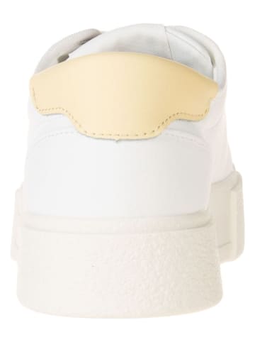 Tommy Hilfiger Shoes Sneakers crème