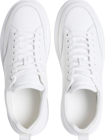 Calvin Klein Leder-Sneakers in Weiß