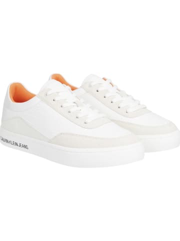Calvin Klein Sneakers in Weiß/ Creme