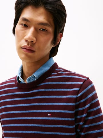 Tommy Hilfiger Trui bordeaux/lichtblauw