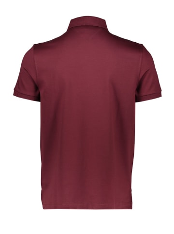 Tommy Hilfiger Poloshirt in Bordeaux