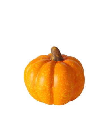 Boltze 4er-Set: Dekoaufsteller "Pumpky" in Orange/ Creme - (H)6,5 cm