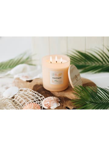 AVA & MAY Duftkerze "Aruba" in Beige - 500 g