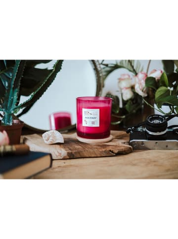 AVA & MAY Świeca zapachowa "Havanna" - 500 g