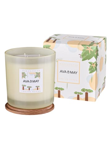 AVA & MAY Duftkerze "Madagaskar" in Creme - 500 g