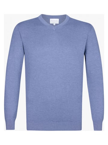 Michaelis Trui blauw