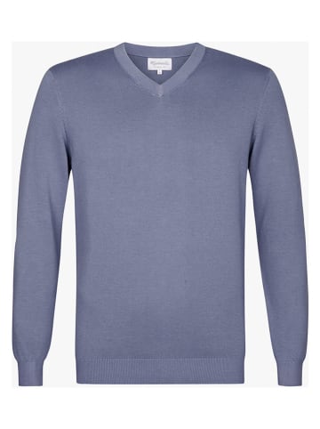 Michaelis Trui blauw