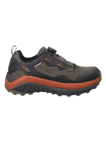 CMP Wanderschuhe "Dyonisus Low FitGo" in Braun
