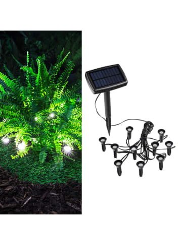 Garden Hero Solarna lampa ogrodowa LED w kolorze czarnym na trzonku - 12 x 8 x 28 cm