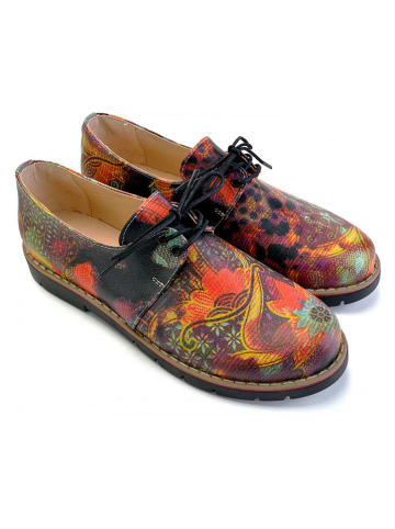 Goby Schnürschuhe in Bunt