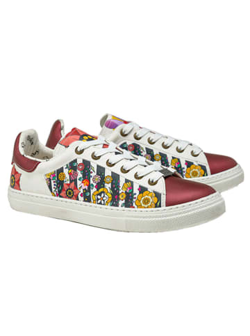 Goby Leder-Sneakers in Bordeaux/ Bunt