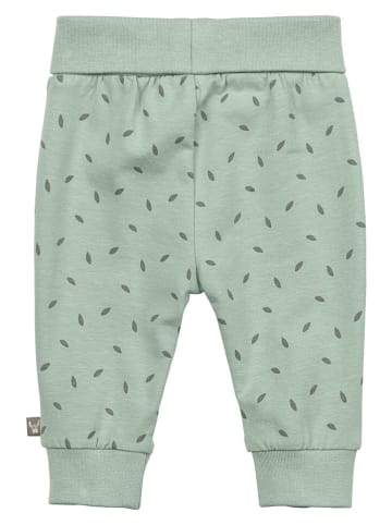 Sterntaler Sweathose in Grün