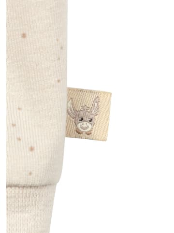 Sterntaler Spodnie dresowe w kolorze beżowym