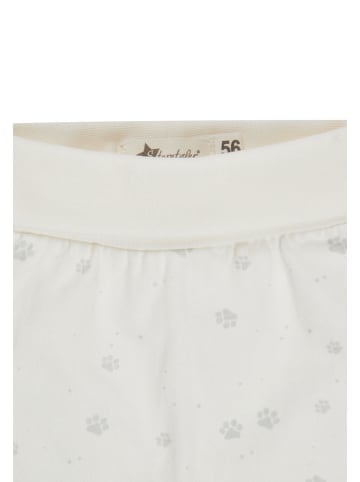 Sterntaler Sweathose in Creme