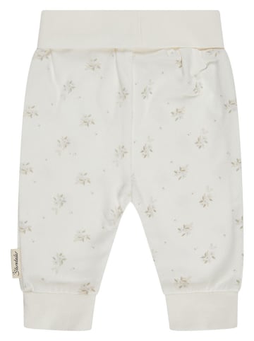 Sterntaler Sweathose in Creme
