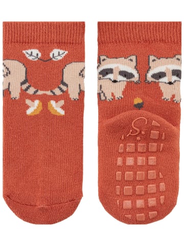 Sterntaler 2er-Set: ABS-Socken "Waschbär" in Orange/ Rot