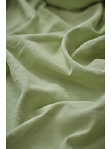 Jotex Vorhang "Lina" in Grün