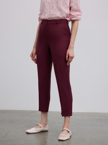 BGN Hose in Bordeaux