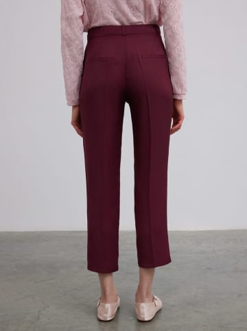 BGN Broek bordeaux