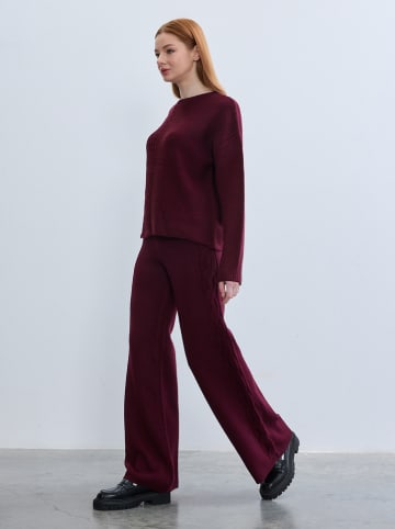 BGN Hose in Bordeaux