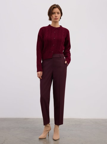 BGN Broek bordeaux