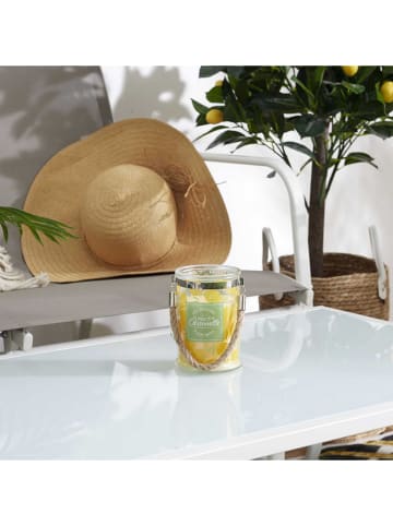 Garden Spirit Świeca zapachowa "Citronelle" - 220 g (produkt niespodzianka)