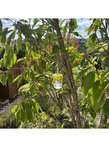 Garden Spirit 2er-Set: Insektenfalle in Transparent/ Gelb