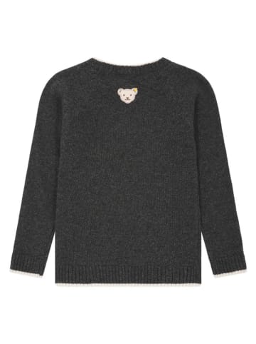 Steiff Pullover in Anthrazit