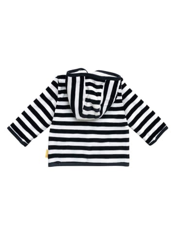 Steiff 3-delige outfit donkerblauw/wit