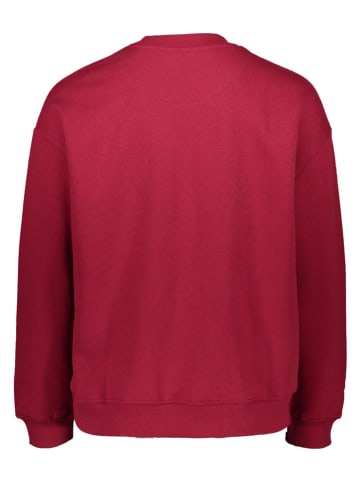 Pepe Jeans Pullover in Rot