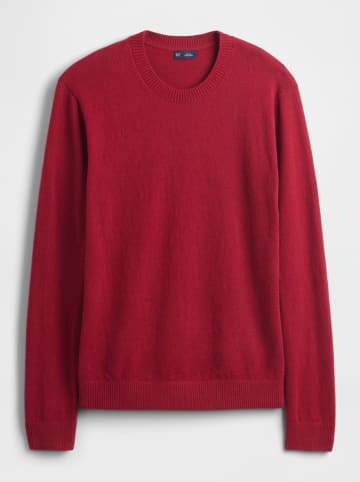 GAP Trui rood