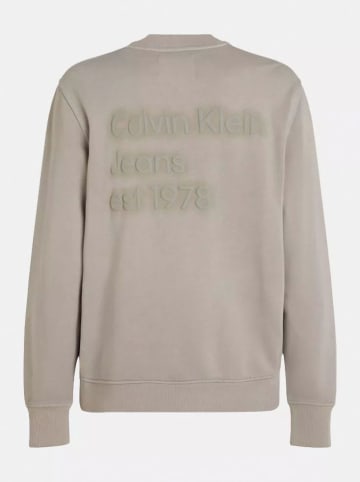 Calvin Klein Bluza w kolorze szarobrązowym