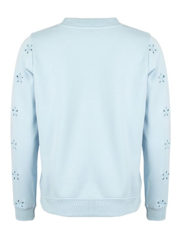 Roadsign Sweatshirt in Hellblau