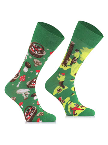 TODO SOCKS 2er-Set: Socken in Grün