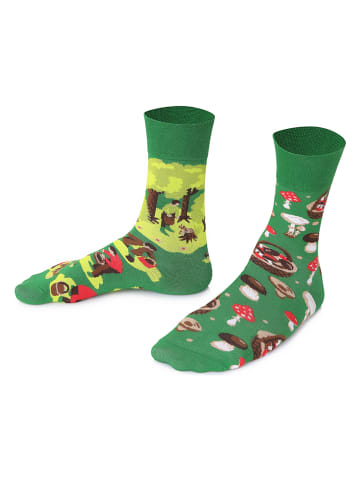 TODO SOCKS 2er-Set: Socken in Grün