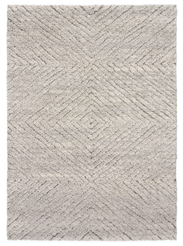 Moma Hochflor-Teppich ''Atesa'' in Silber