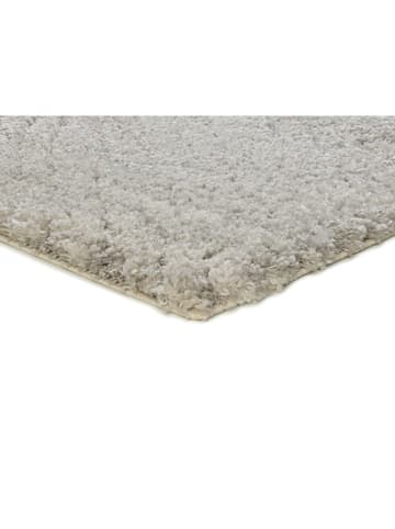 Moma Hochflor-Teppich ''Atesa'' in Silber