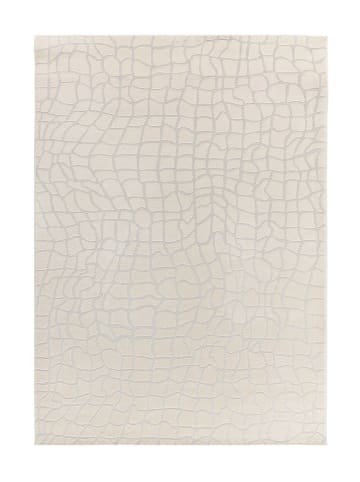 Atticgo Dywan "Baresa" w kolorze srebrno-kremowym