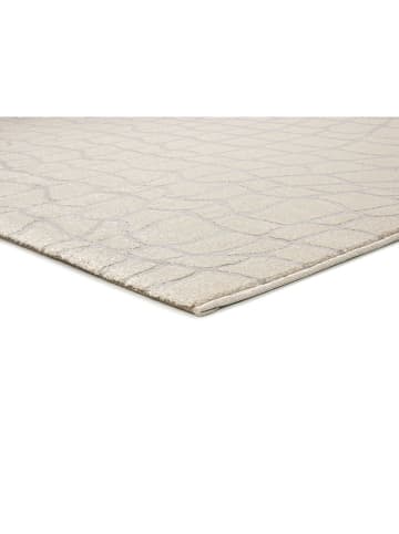 Atticgo Kurzflor-Teppich "Baresa" in Creme/ Silber