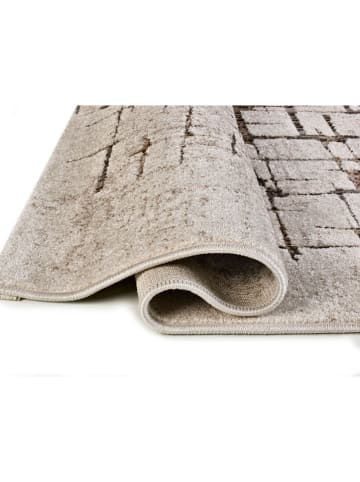 Atticgo Dywan "Ceres" w kolorze kremowym